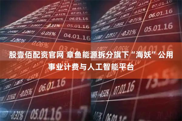 股壹佰配资官网 章鱼能源拆分旗下“海妖”公用事业计费与人工智能平台